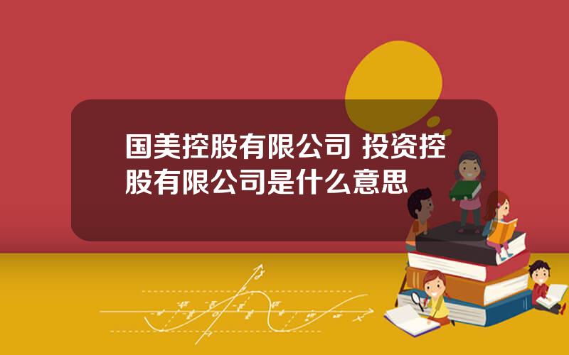 国美控股有限公司 投资控股有限公司是什么意思